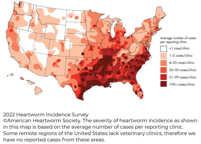 Map of the prevalence in Heartworm disease in the United States, showing a higher prevalence in the south east portions of the country