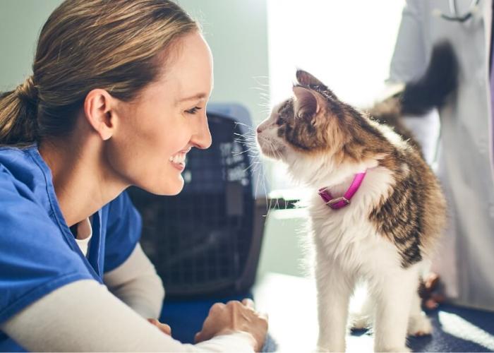 A vet smiles at a cat