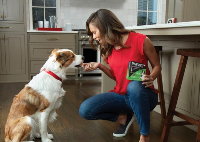 A woman gives her dog a Heartgard Plus chew