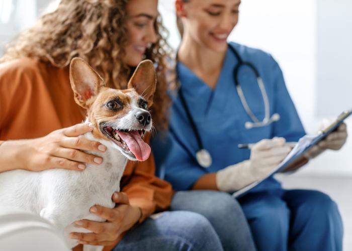 Canine Parasiticides