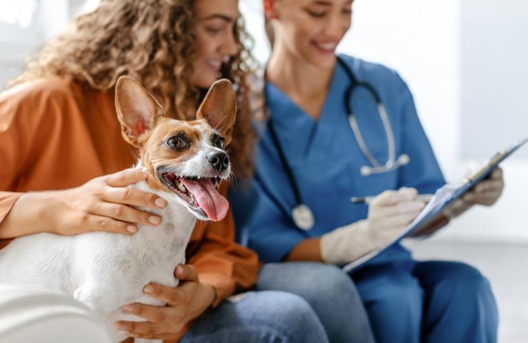 Woman consults with her vet
