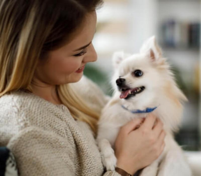 A woman pets her small dog