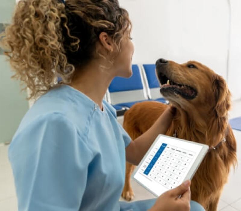A vet pets a dog while holding a tablet showing a comparison chart of Tresaderm against other products