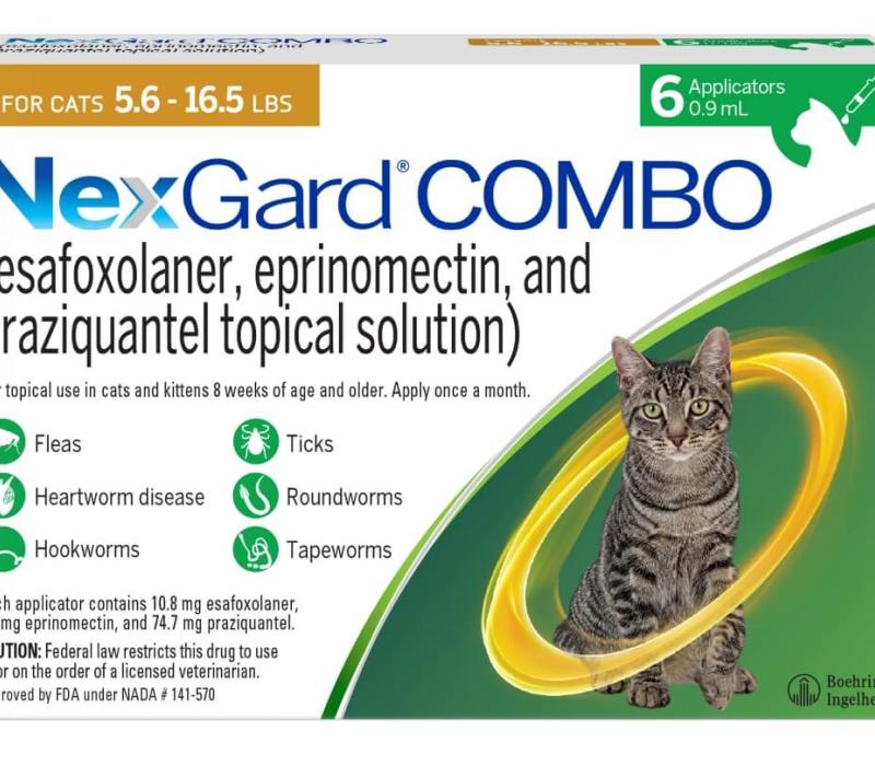 A package of 6 doses of NexGard Combo