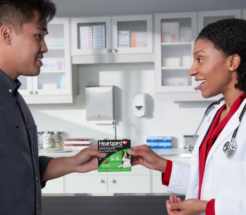 A vet hands a client Heartgard Plus