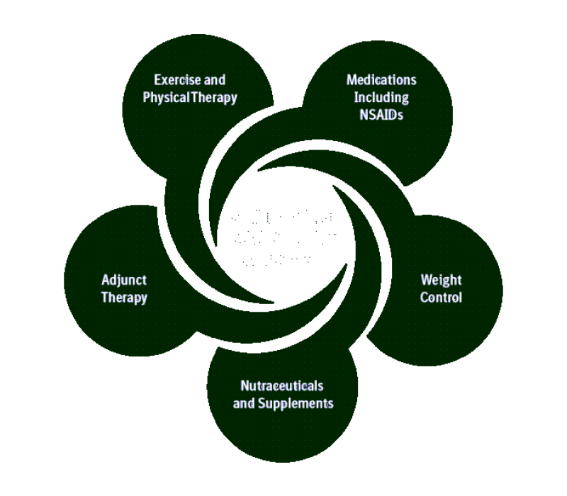 Graphic displaying the different facets of the multimodal approach: Exercise and Physical Therapy; Medications including NSAIDs; Weight Control; Nutraceuticals and Supplements; and Adjunct Therapy
