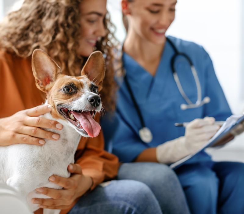 Canine Parasiticides