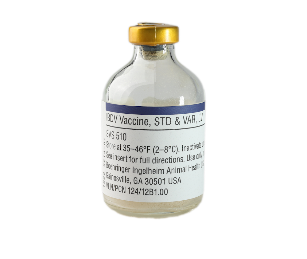 SVS-510 Vaccine