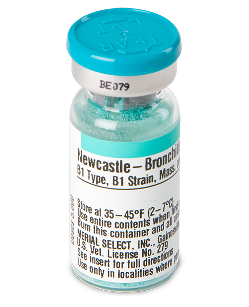 Newcastle (B1, B1) Bronchitis (Mass. & Ark.)