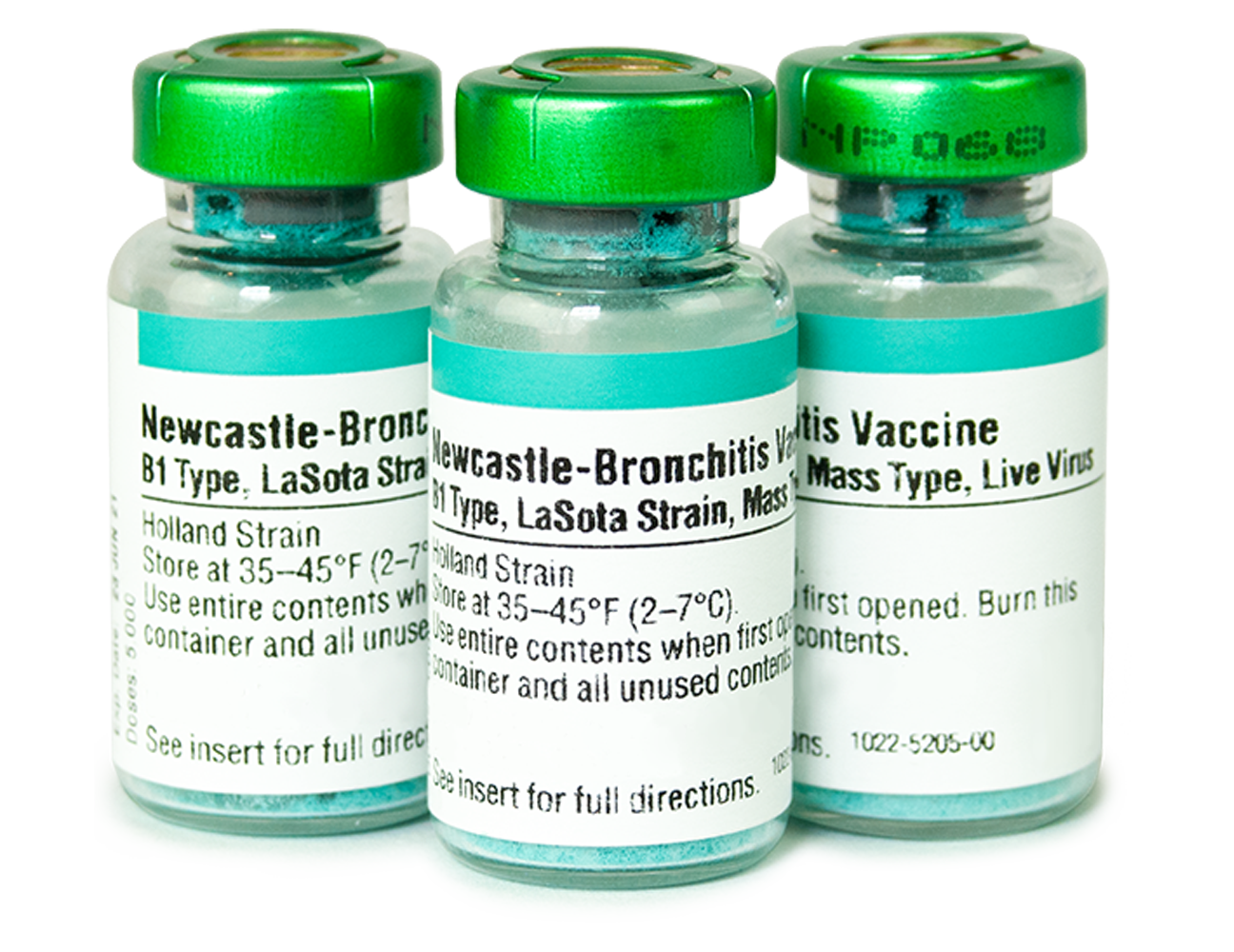 Newcastle (B1, LaSota) Bronchitis (Mass-Holland Strain)