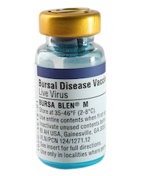 Bursa Blen product image