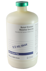 Bursa REO product image