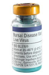 IBD Blen product image