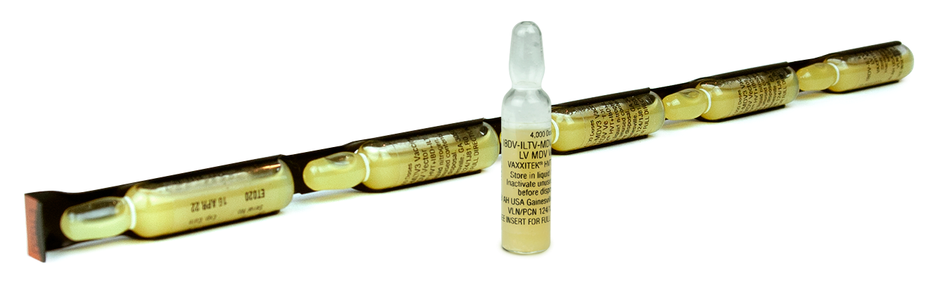 Vaxxitek HBD IBD ILT