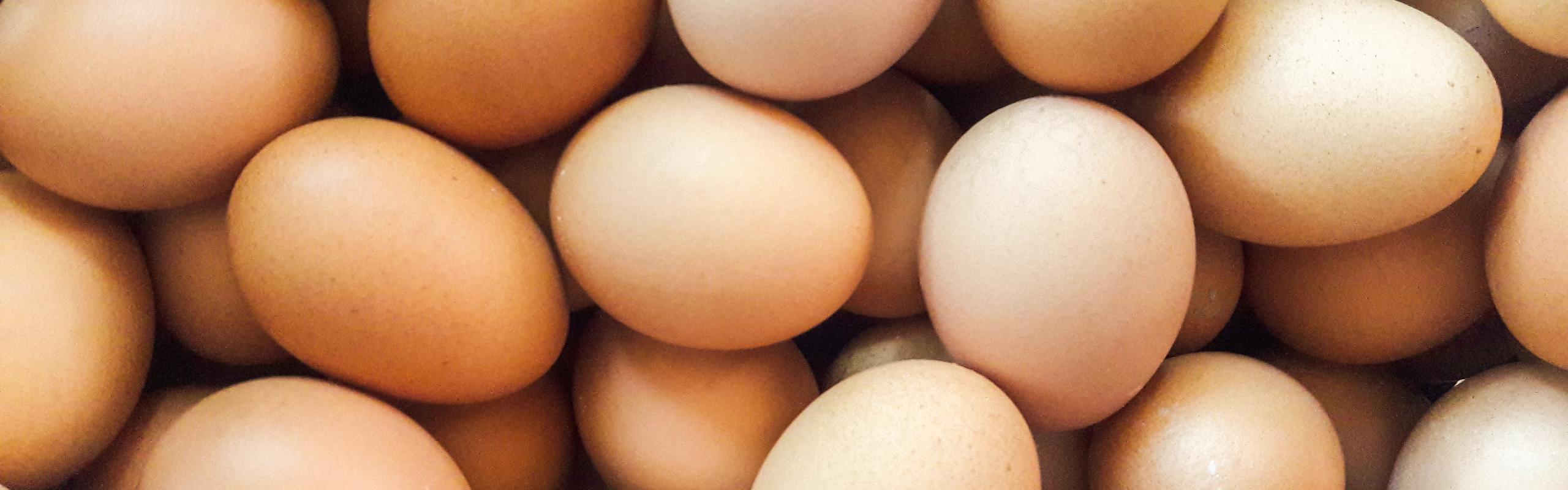 Eggs