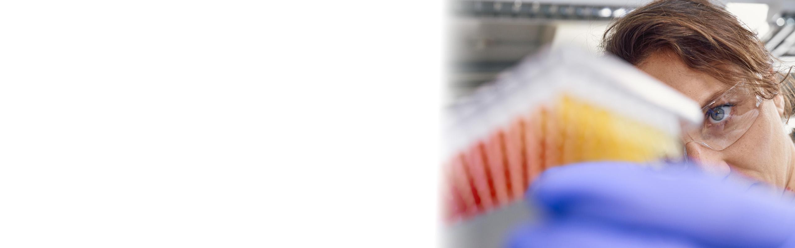 Lab technician checking poultry vaccines