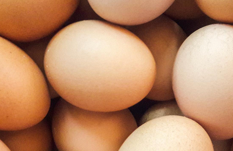 Chicken eggs