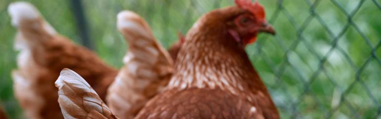 Services and Support Header Image