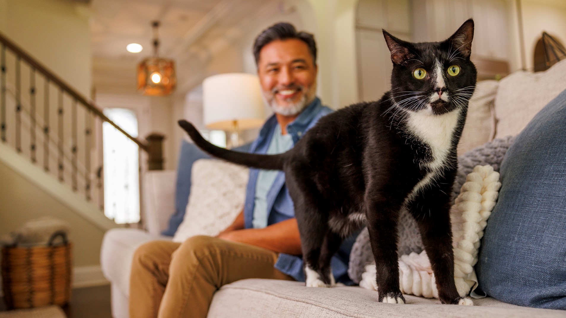 Senvelgo oral solution for treating feline diabetes