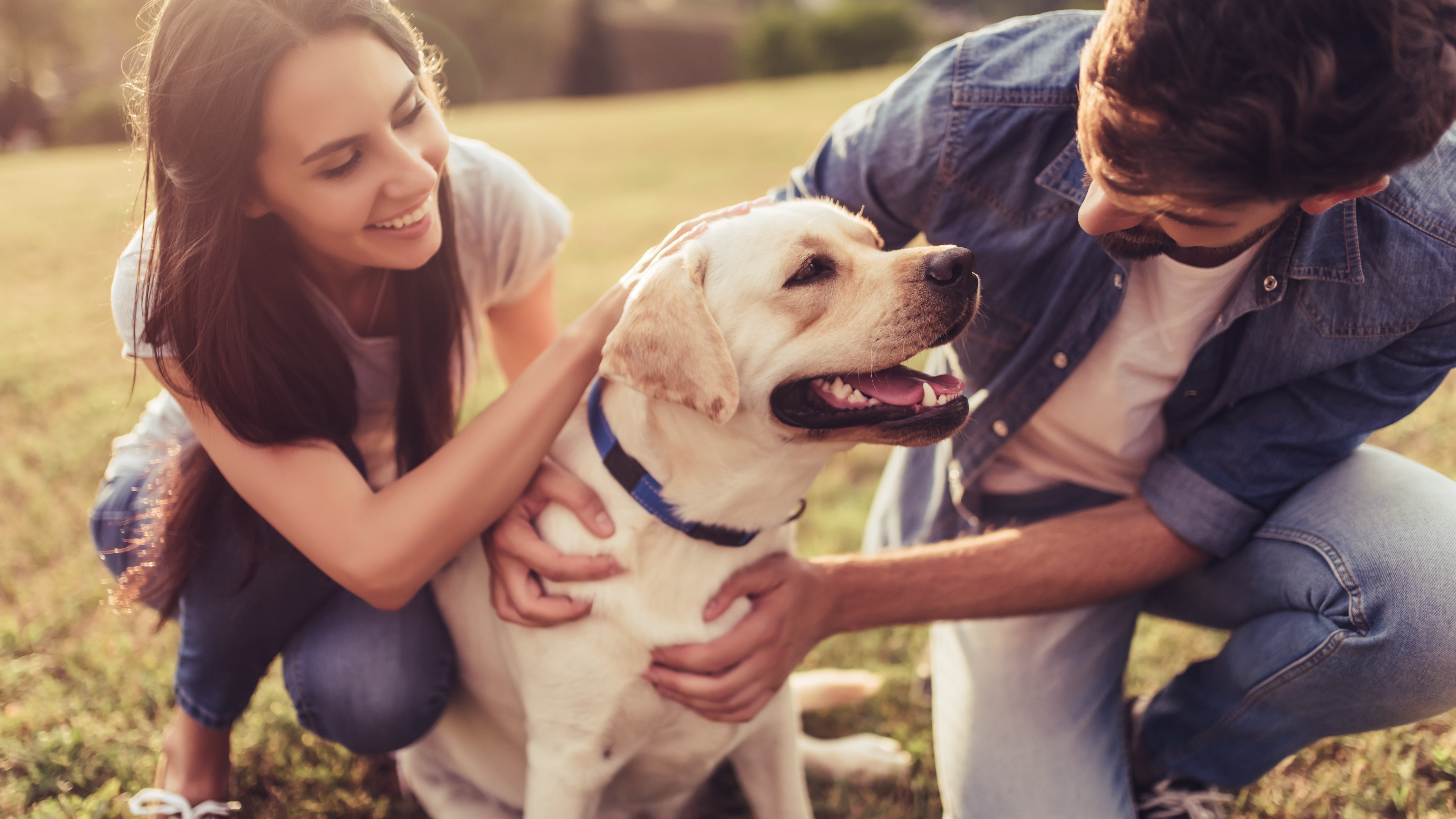 A man and woman play with a dog outside