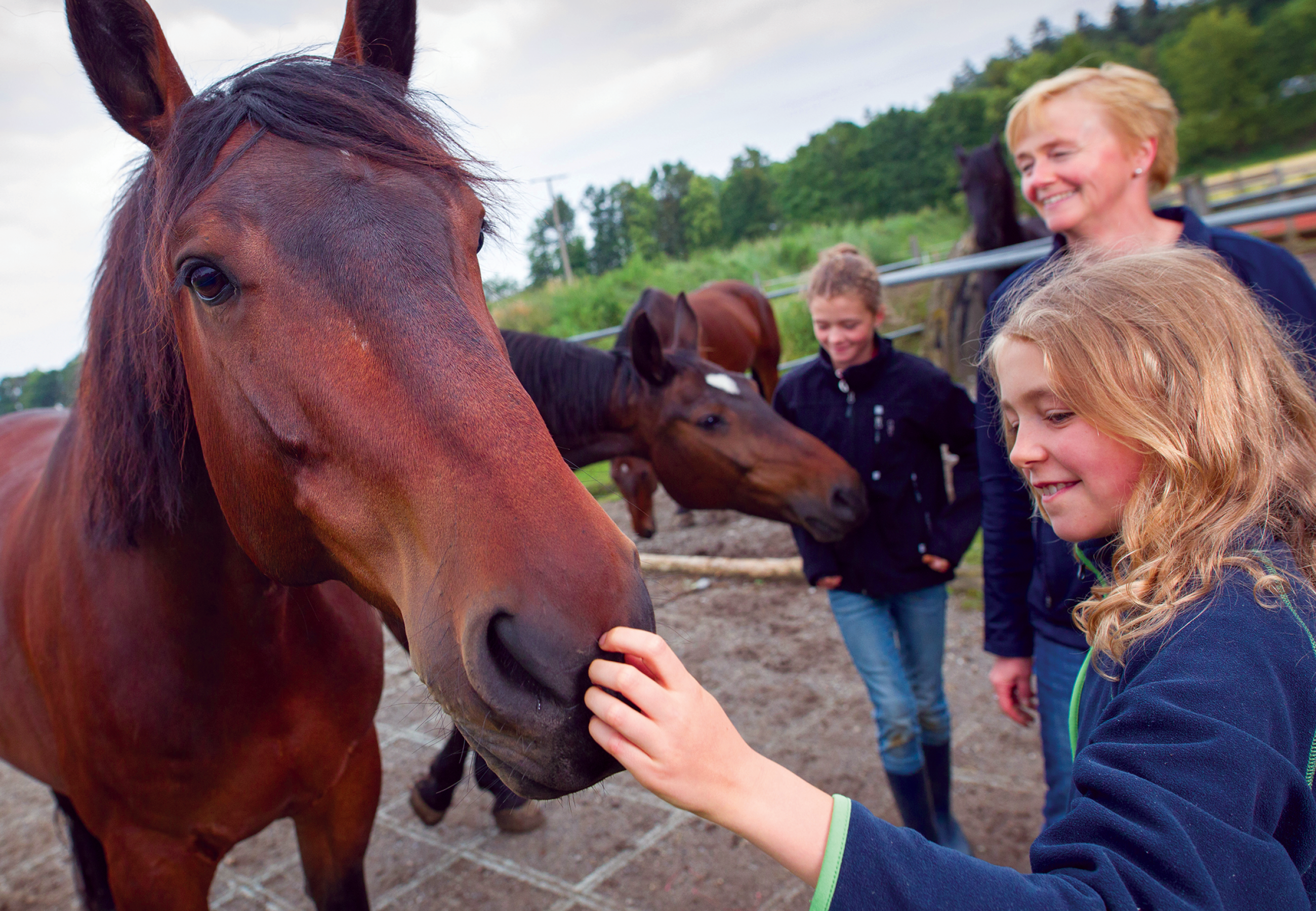 Creating A Healthier Tomorrow