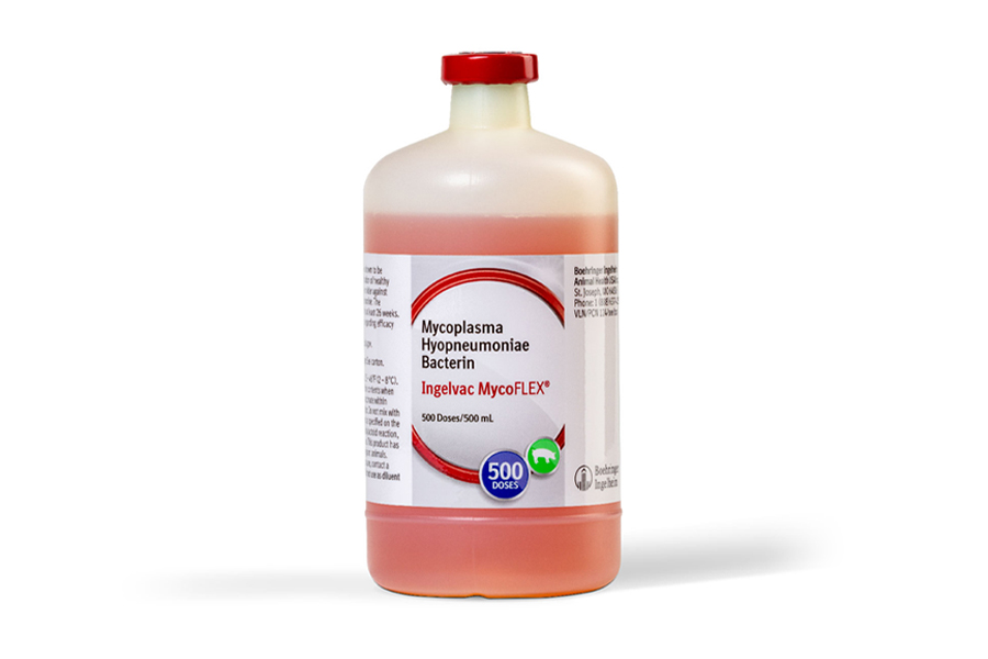 Bottle of Ingelvac MycoFLEX