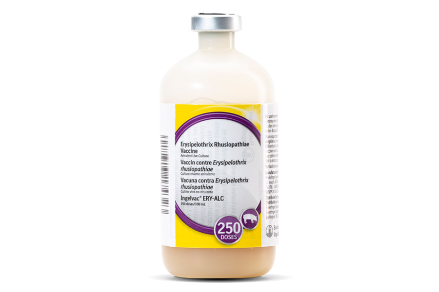 Ingelvac ERY ALC bottle