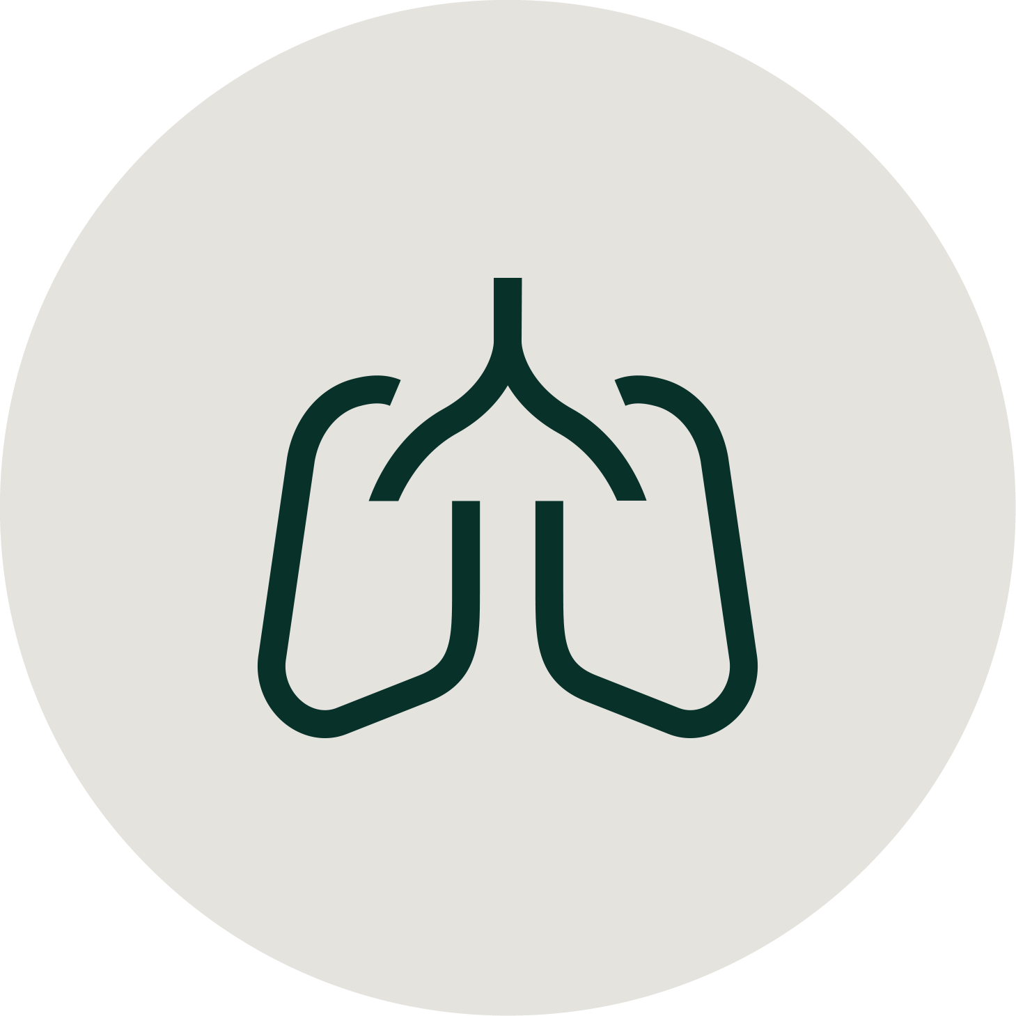 Respiratory icon