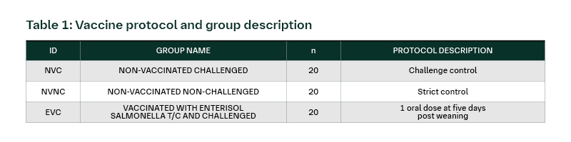 vaccine protocol and group description table