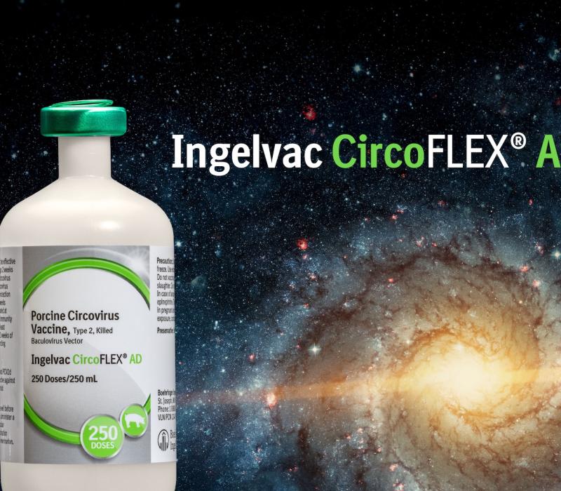 INGELVAC CircoFLEX AD product image with a galaxy around it