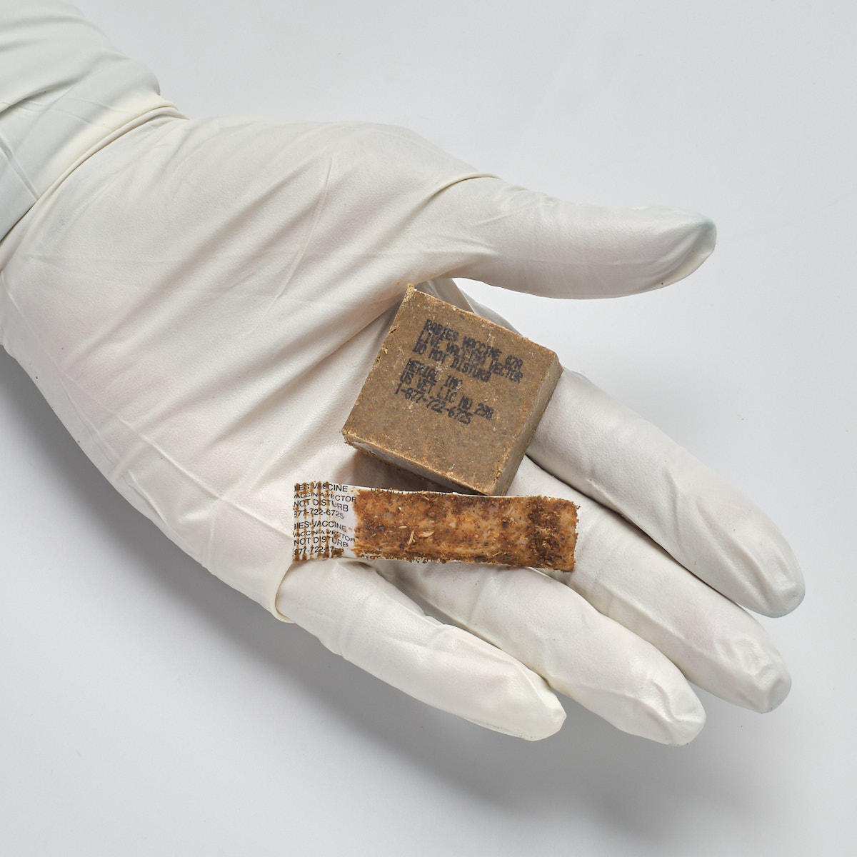 Gloved hand holding Raboral V-RG Bait and Sachet